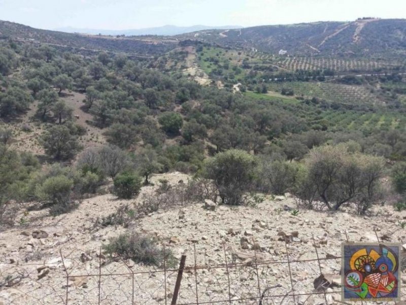 Agia Galini Süd Kreta Ag.Galini, Baugrundstück 28.000qm mit Panoramameerblick Grundstück kaufen